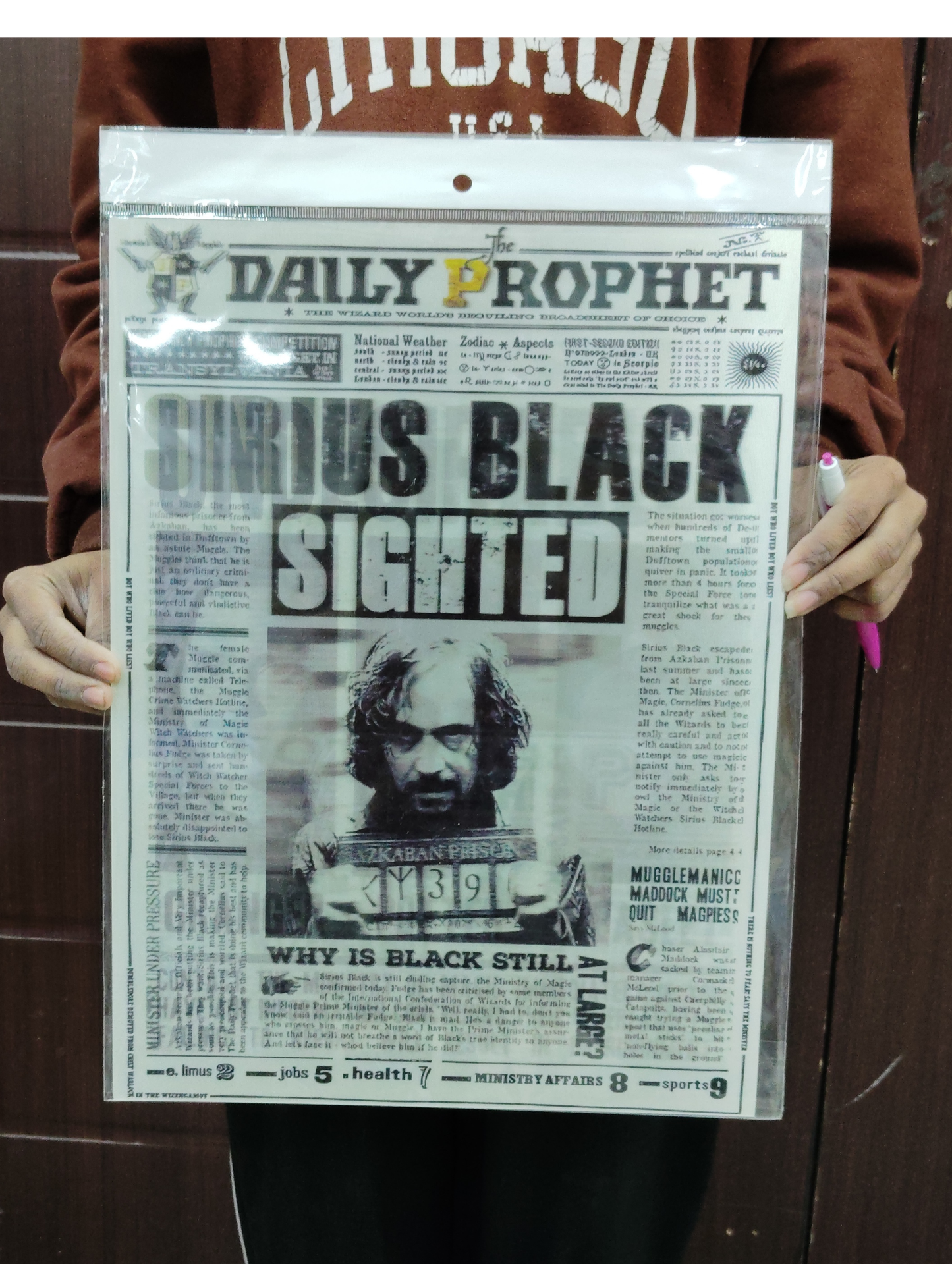 Harry Porter 3D Poster