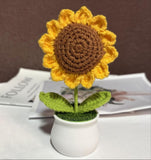 Sunflower in White Pot - Crochet Gift