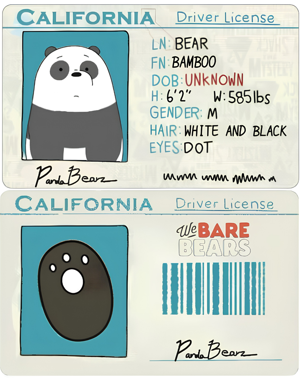 Metro Card Skin