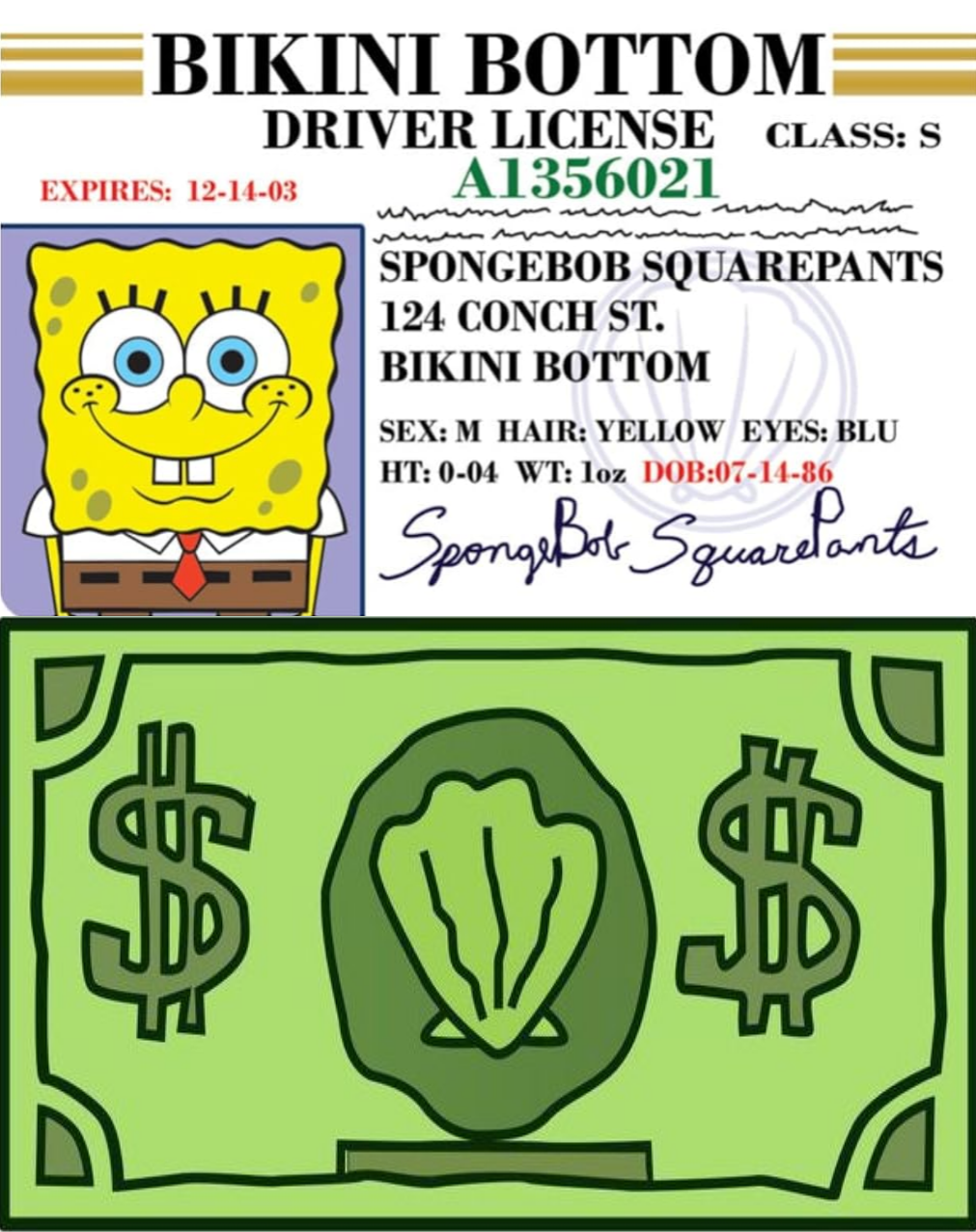 Metro Card Skin