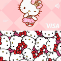 Metro Card Skin