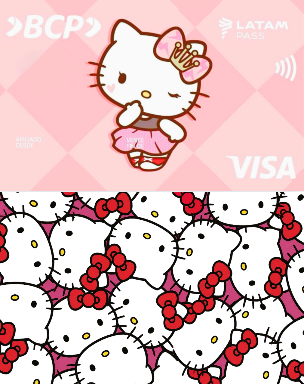 Metro Card Skin