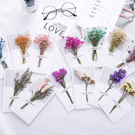 Greeting Cards - Single
