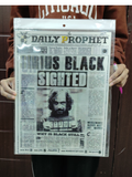Harry Porter 3D Poster